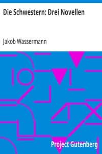 Die Schwestern: Drei Novellen (German)