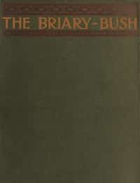 The Briary Bush: A Novel