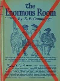 The Enormous Room