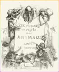 Vie privée et publique des animaux (French)