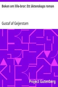 Boken om lille-bror: Ett äktenskaps roman (Swedish)