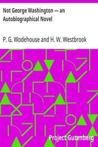 Not George Washington — an Autobiographical Novel